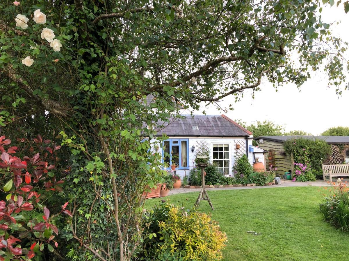 شيشستر Cosy Cottage Ground Floor Bedroom Ensuite With Private Entrance المظهر الخارجي الصورة